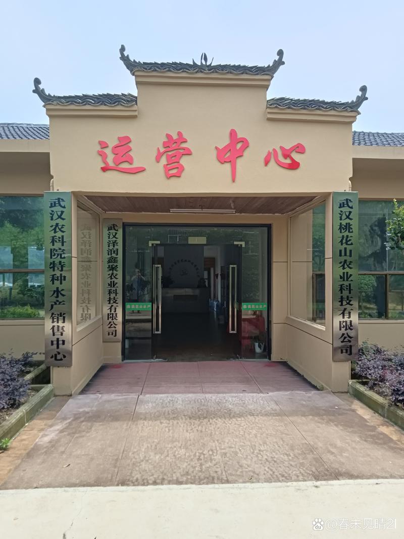 沭阳网站建设哪个公司好