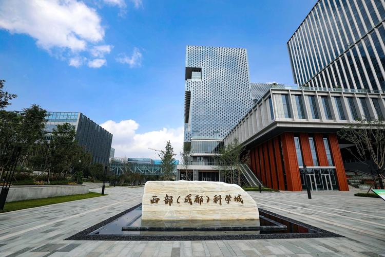 成都网站建设金网科技