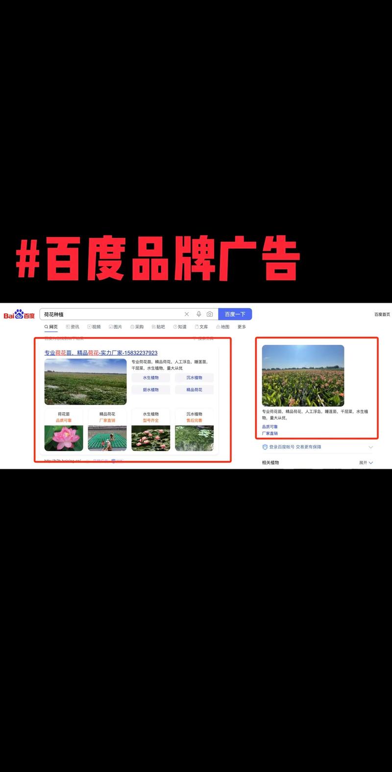 河南速搜网络公司官网