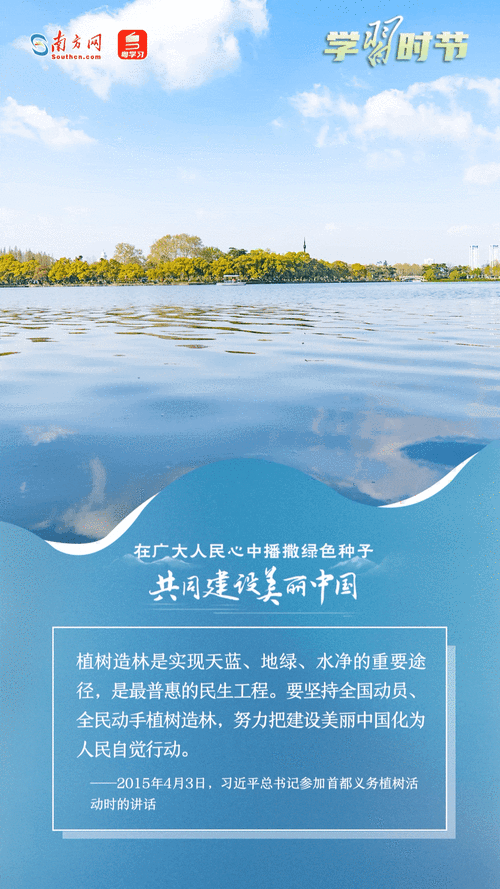 武汉手机网站建设动态