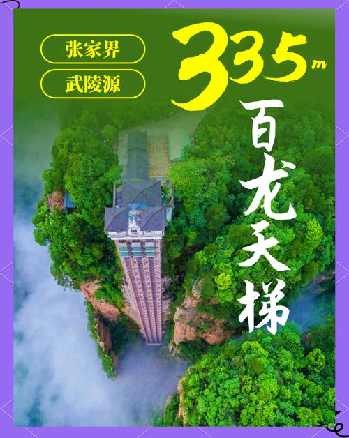 张家界网络营销的案例