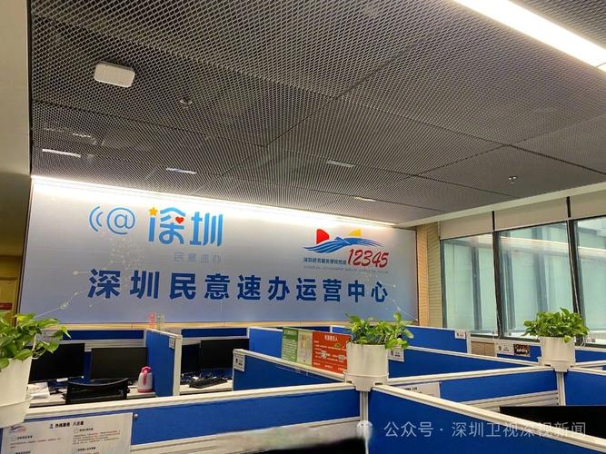 深圳网络服务有限公司