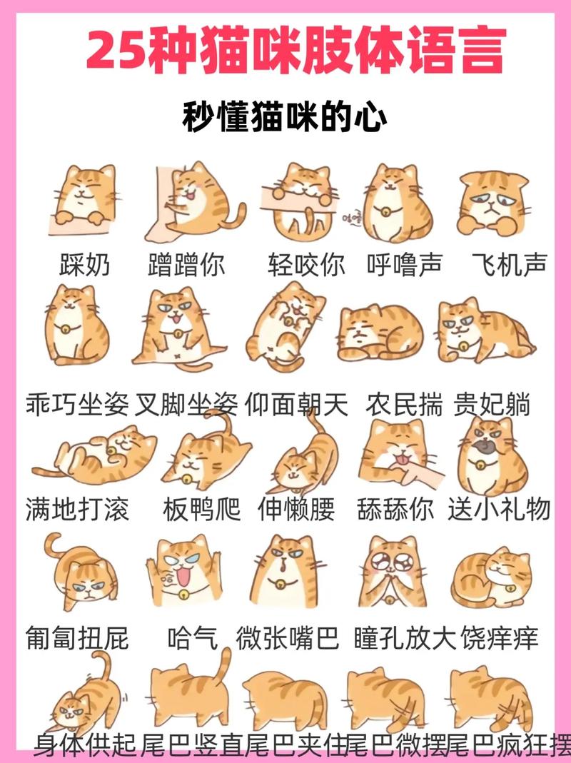 网络语言小猫咪什么意思