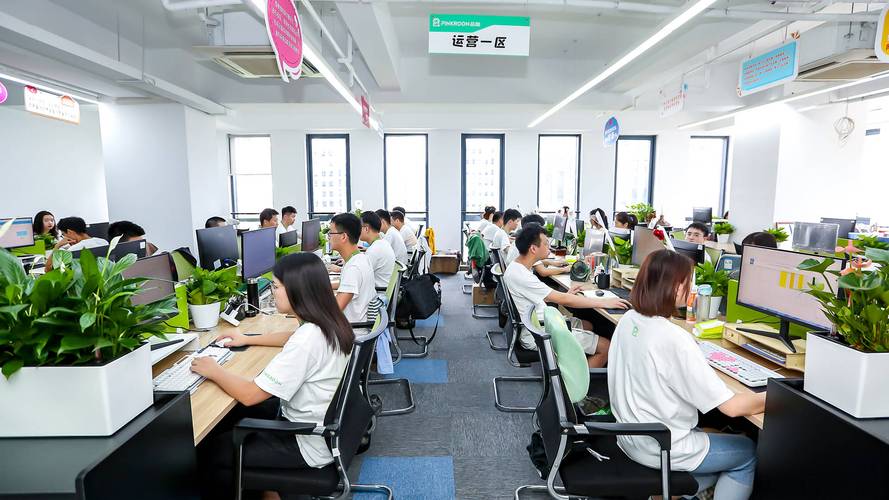 温州市网络公司地址