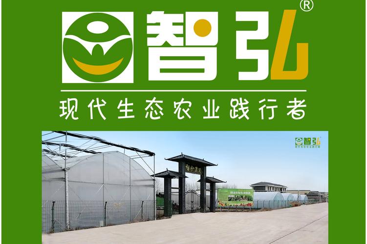 徐州八戒网络科技公司