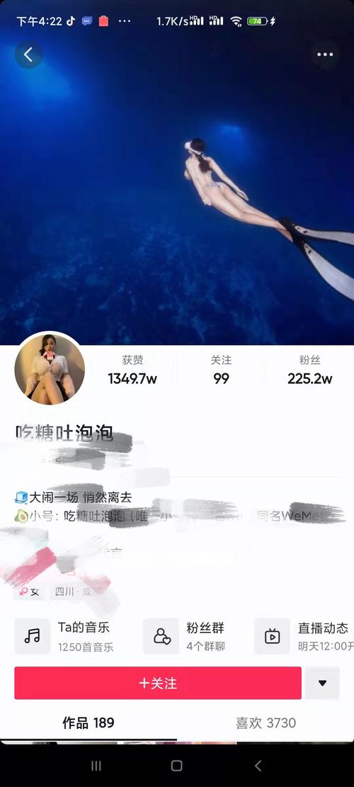 猫猫耶抖音点赞自助平台，诺亚抖音抖音业务是什么