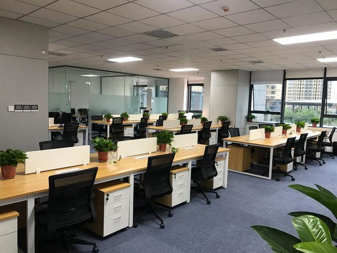 动想网络科技有限公司