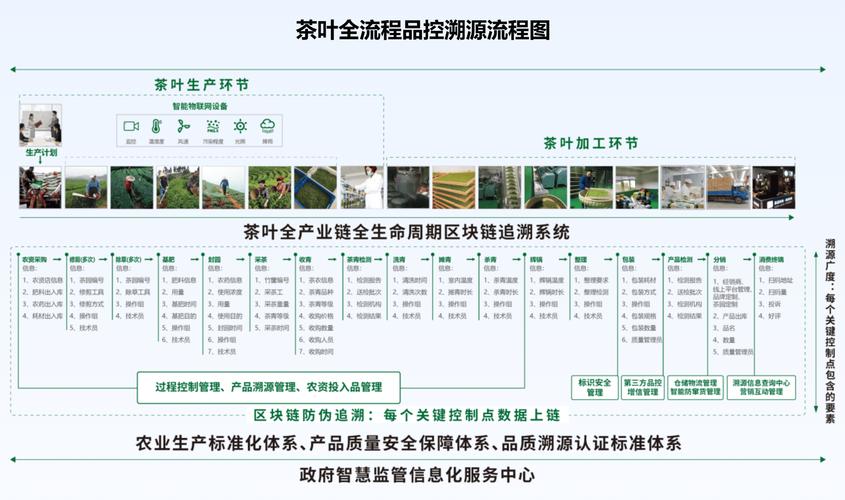 茶企业建站指南，数字转型助力茶业发展