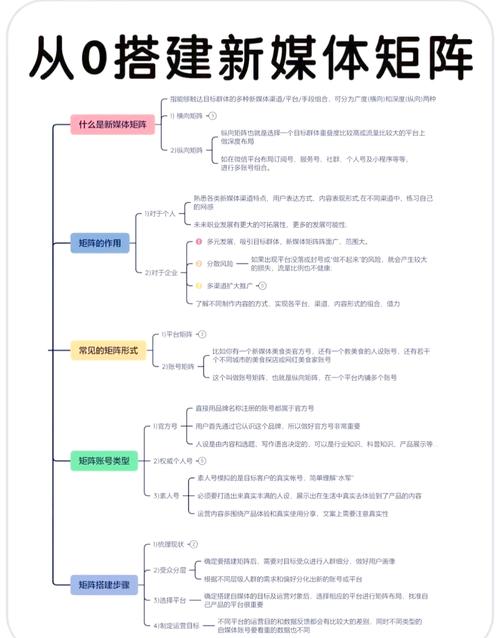 如何高效利用自媒体平台？经明网络科技的全栈解决方案