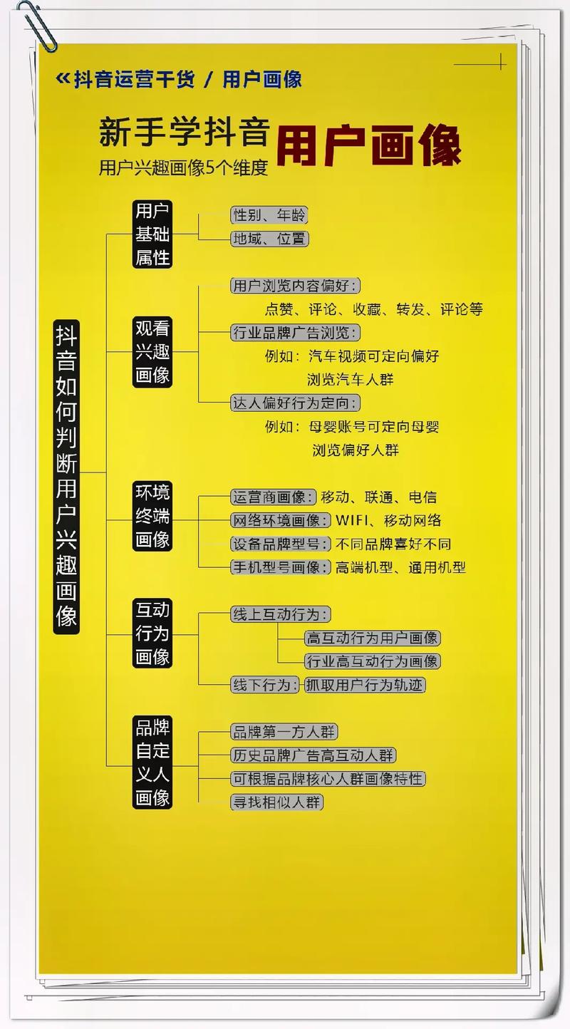 用户群体，抖音中的dy业务区