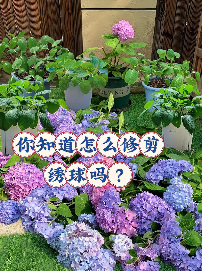 真实抖音,让您的内容焕发新生!