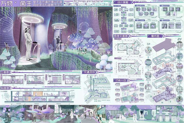 探索美术馆信息化网络设计的可能