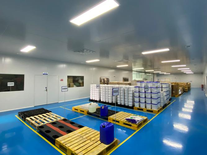 解析鸿端网络科技有限公司，企业实力与未来展望