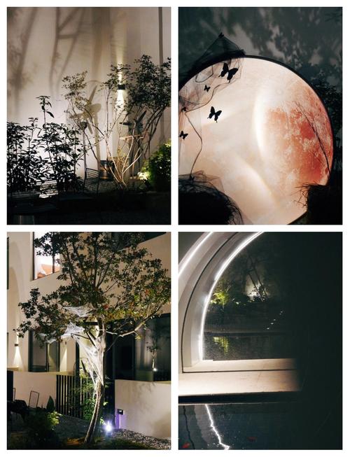 威海，威海人专属的树上美学