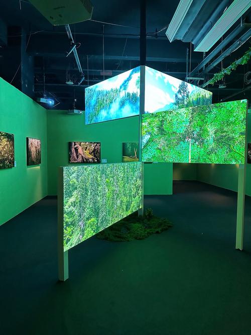 高品质佛山建设计程,打造视觉盛宴