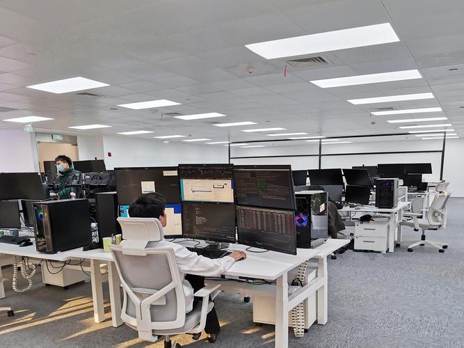 深圳阳光网络有限公司，disrupt in the Digital Age