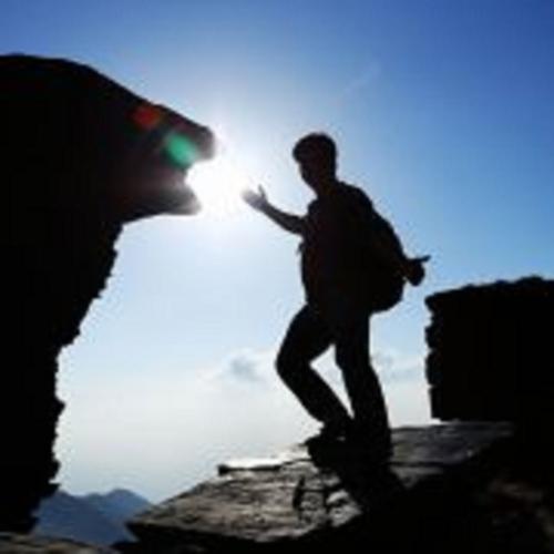 确赞平台,自媒体创作者的生存之舟