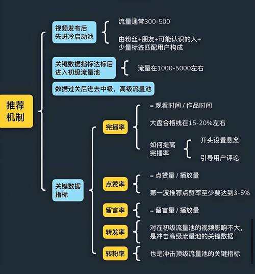 短视频用户分析与优化指南