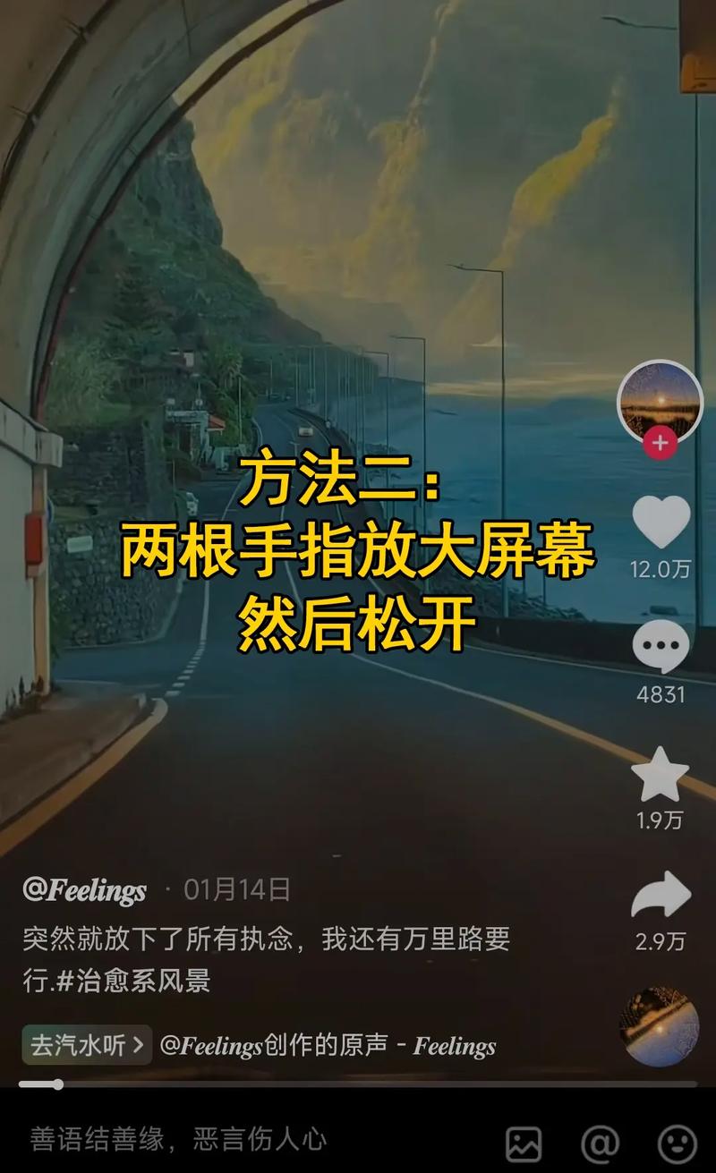 在抖音中，清屏操作是用户参与内容创作和传播的一种方式，通过点击屏幕中的清屏按钮，可以查看视频中的内容浏览量和点赞数。这些数据通常由抖音平台自动计算，并通过算法进行整理，以便对视频进行评估和推荐