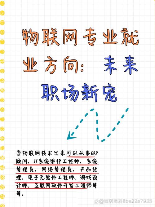 专业网站设计，从选择到优化，Everything You Need to Know