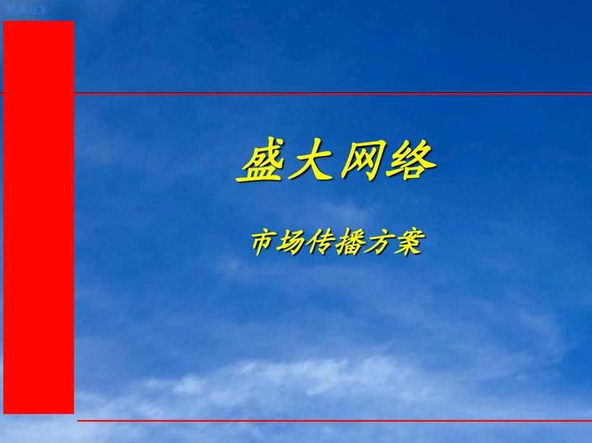 宁夏盛大网络，网络推广领域的权威专家