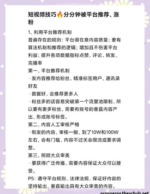 指南，如何快速建立和提升粉丝数量
