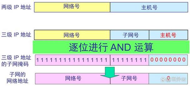 一、是否可以使用网络号作为主机号？