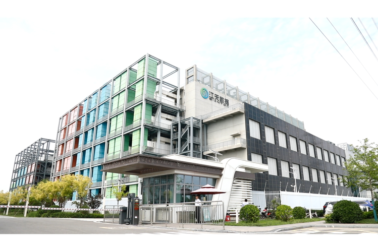 天应网络科技有限公司，助力您的成功故事