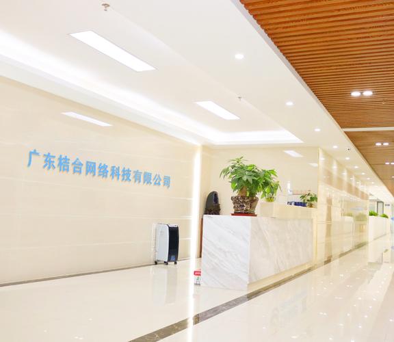 江门三大网络公司