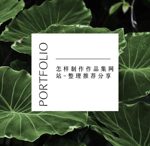 从零到成功，网络时代的网页设计指南