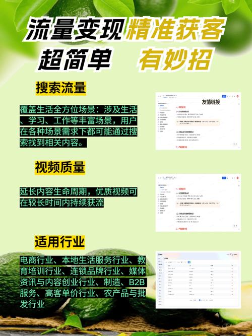 石家庄网络公司,全面解析,助力你的业务增长