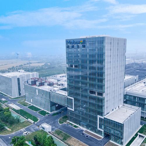 上海大型网站建设公司,选择你,企业未来!