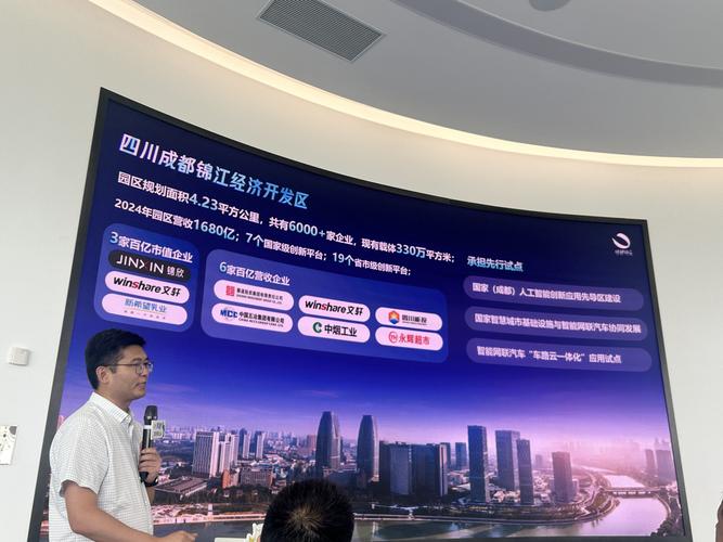 成都网络系统开发,互联网时代的经济支柱