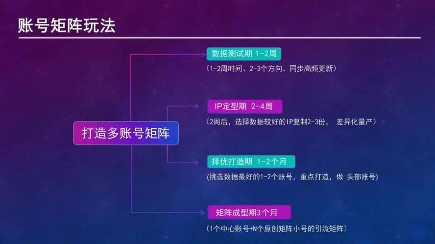 抖音认证指南,如何正确设置代网账号
