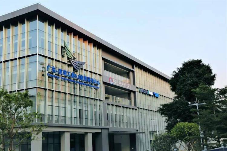 大良,建设未来创新的引擎