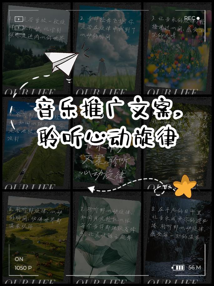 赞网与ks带，音乐带带推广合作新范式