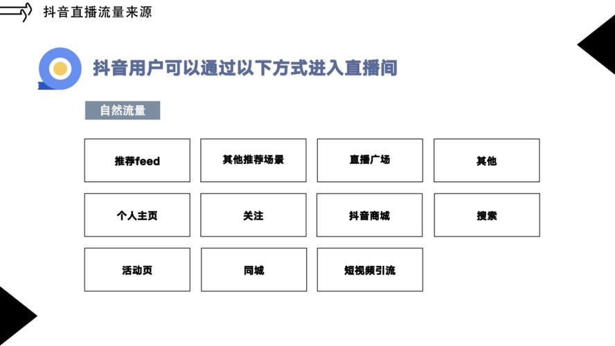 抖音代等级,KSSV与DyS的定价策略与运营建议