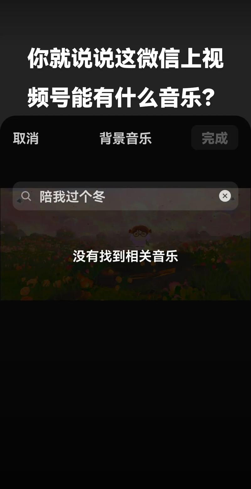 抖音双击播放网站,让音乐更上一层楼,推荐你!