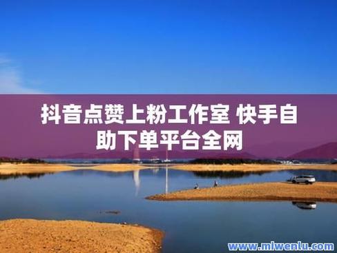 快手抖音代 app开发 ks赞业务解析 赞网站，你的高效互动平台