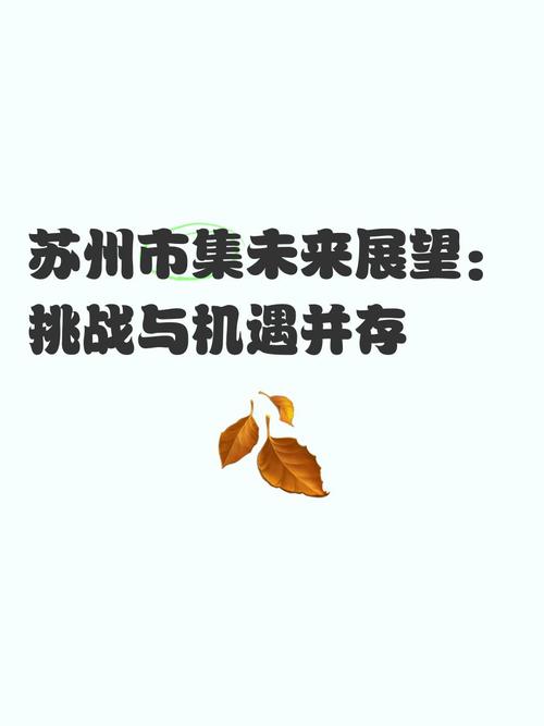 苏州零售业网络,发展机遇与未来展望