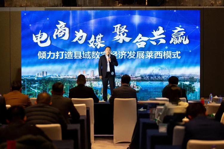 莱西电商建设，从基础到巅峰的智慧