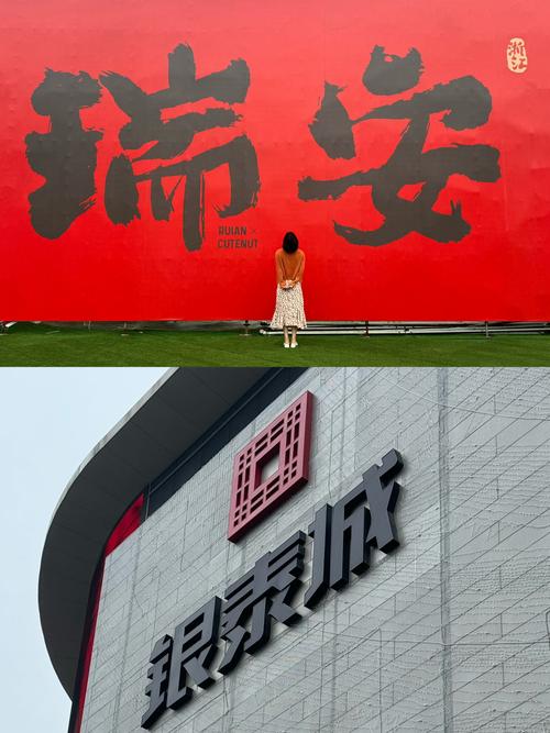 温州市高端网站建设，选择瑞安图腾的你 美丽之旅