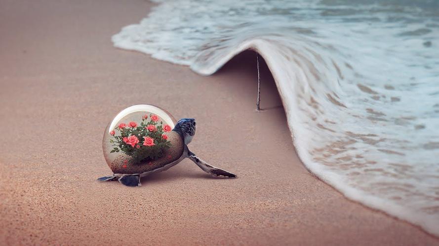 PS入门，制作创意作品的必修课