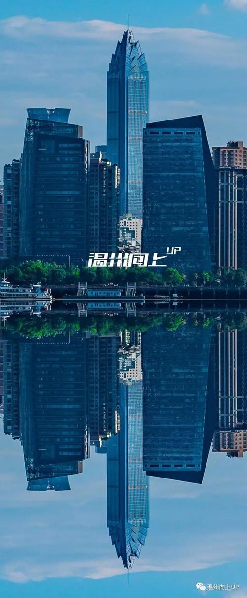 温州作为经济中心，温州世想网络有限公司如何抓住机遇？