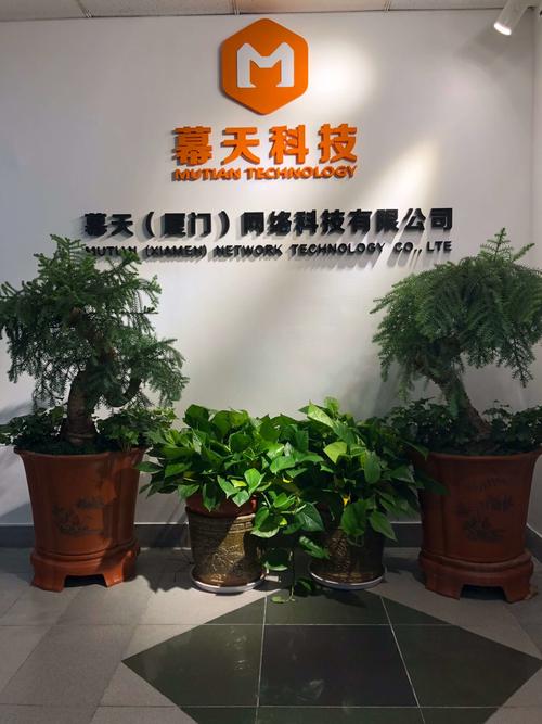 泉州网络公司黑马下拉，吸引更多新客户和人才