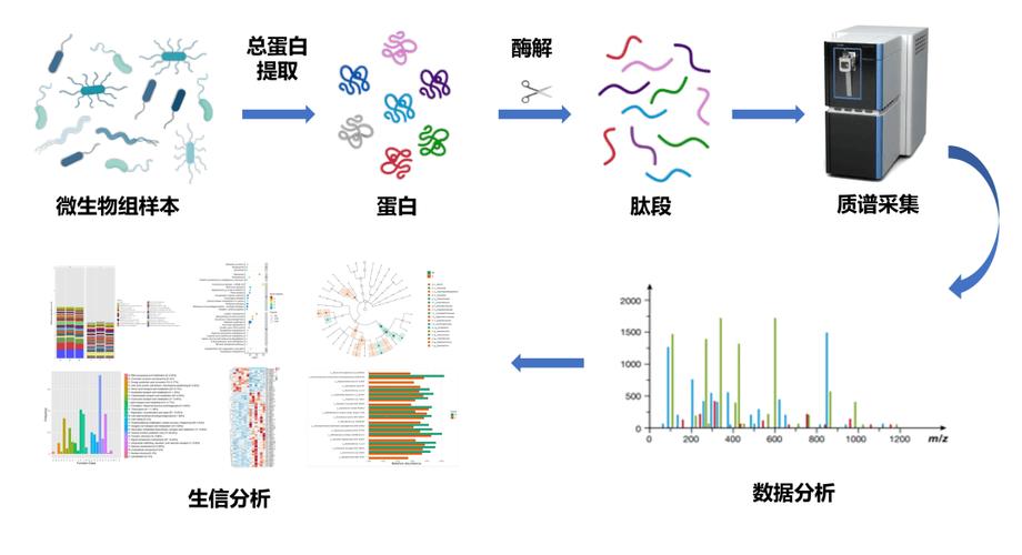 深度解析94F配置中的隐藏功能