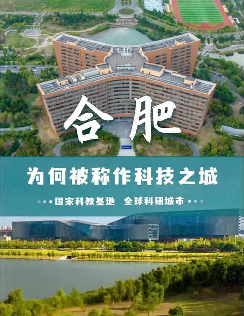 合肥特平网络科技公司，技术驱动的网络未来