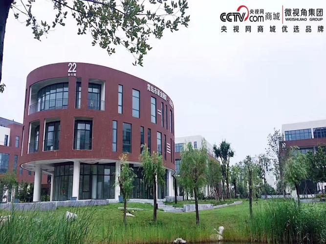 青岛网络传媒集团，开启新时代传媒新天地