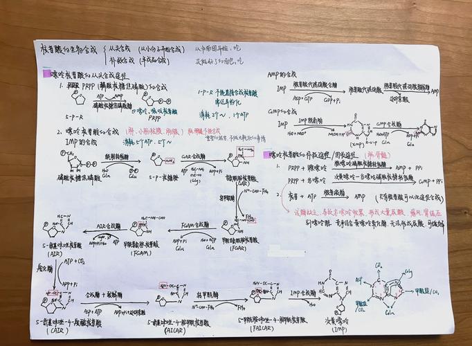 23核苷酸参数解析，从基础到应用