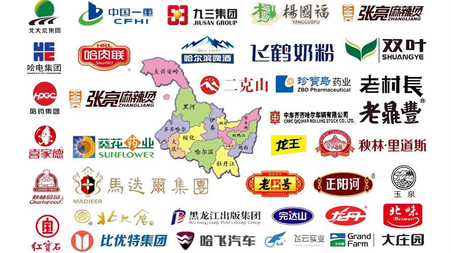 打造黑龙江高端品牌，精准定位与全方位策略